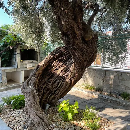 Elia & Meli Σκάλα Καλλιράχης